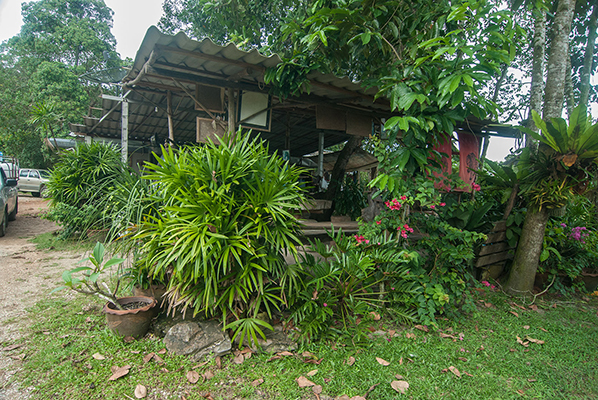The horse riding camp at Aonamao Beach
