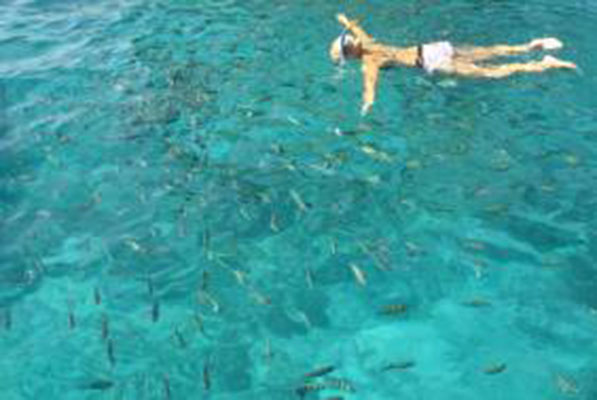 The Beautiful Phi Phi Islands