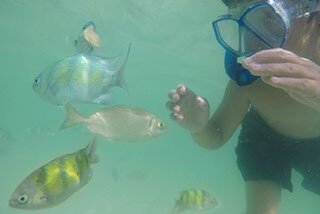 hong beach gp fish 03