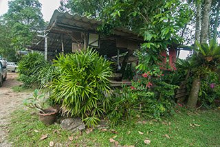 horse-riding-krabi-base