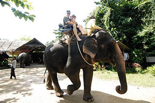 elephant-trek krabi